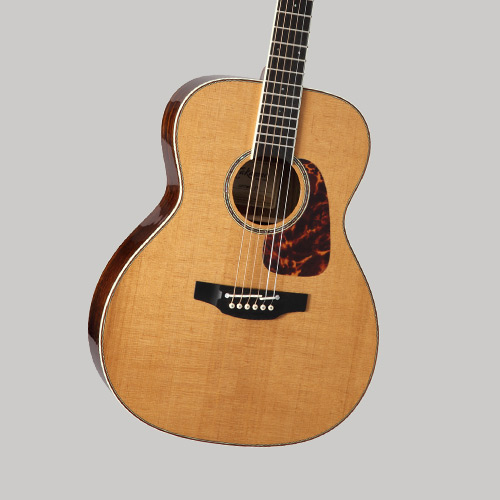 Takamine G-Series