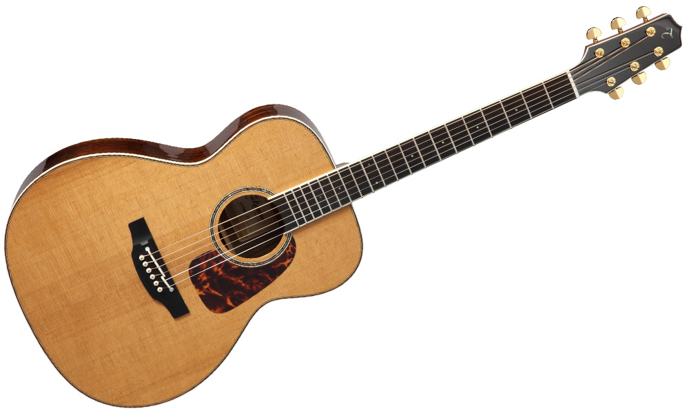 Takamine G-Series